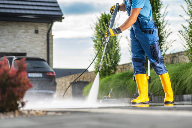 Best House Exterior Washing  in Olean, NY